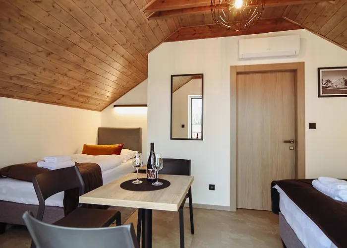 Quarto em Acomodações Particulares Skácelův Dům *